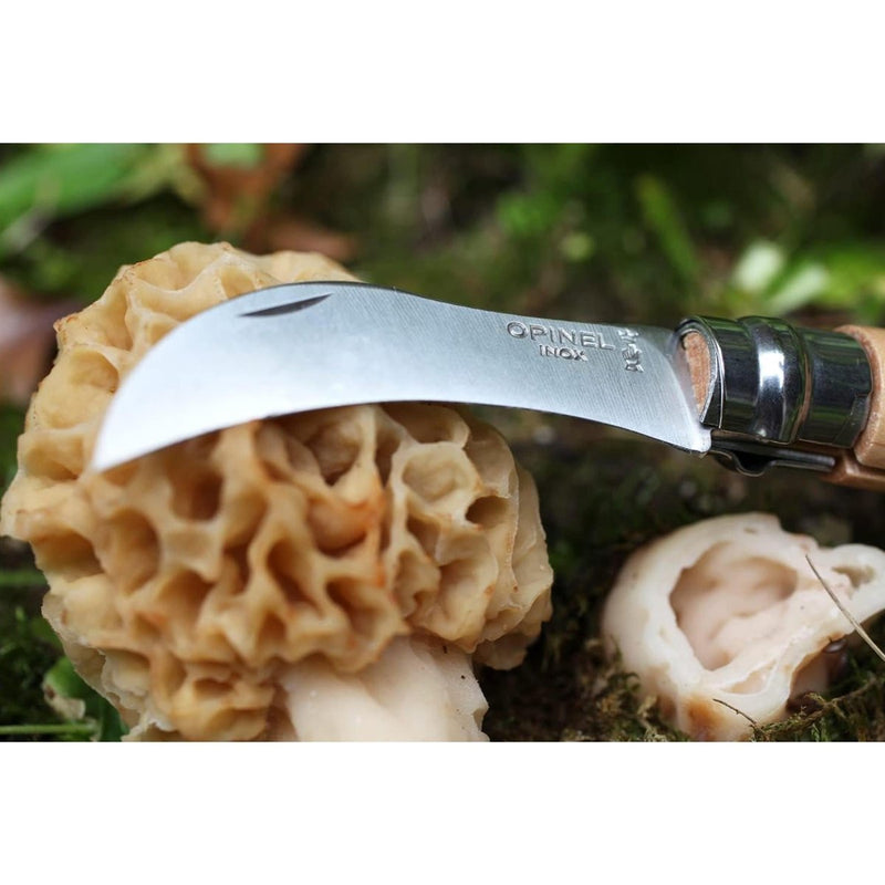 Opinel N°08 Mushroom Taschenmesser Edelstahl Hawkbill Buchenholzgriff